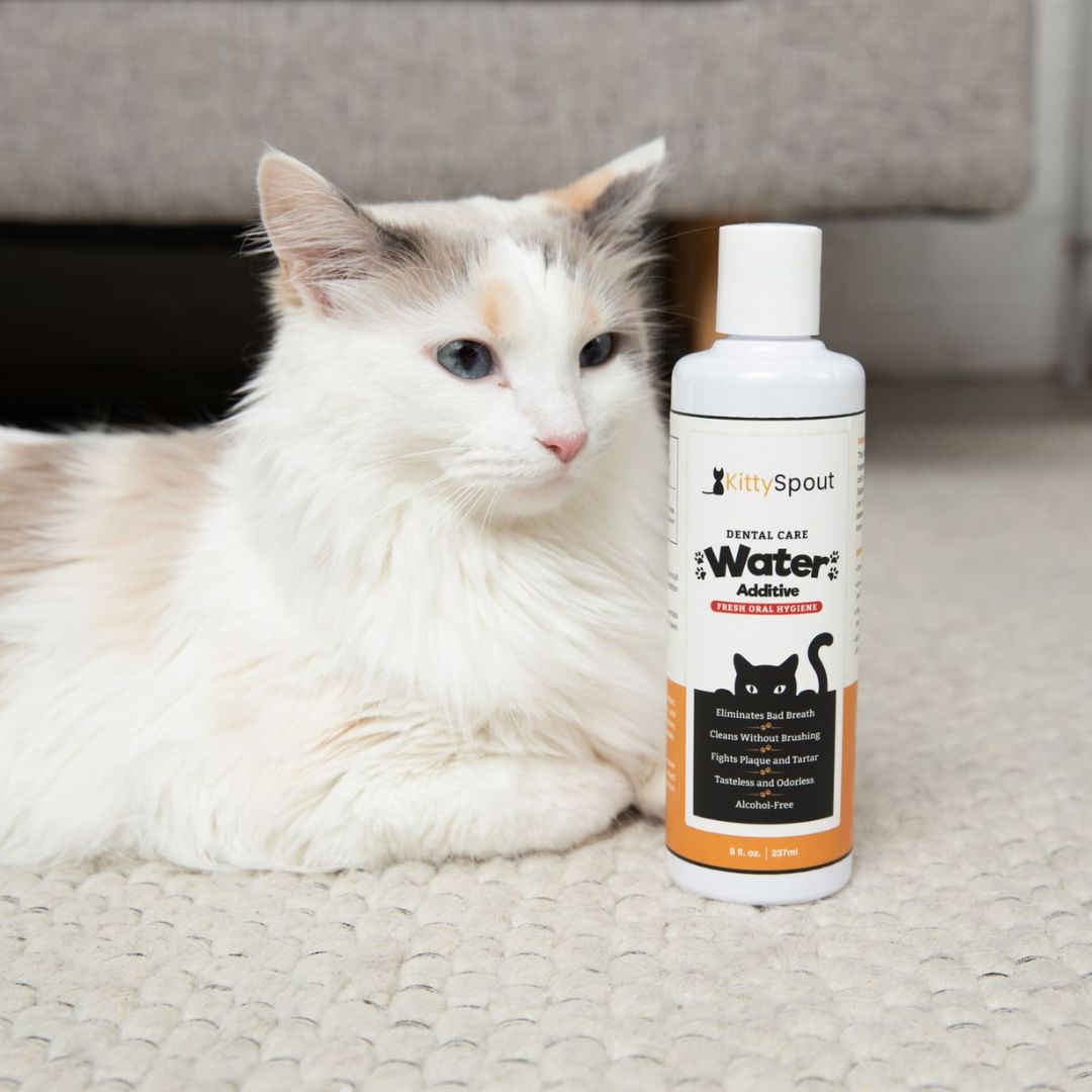 Pros and Cons of Using Water Additives For Cats