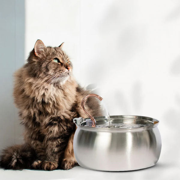 KittySpout Is The #1 Top Rated Cat Water Fountain