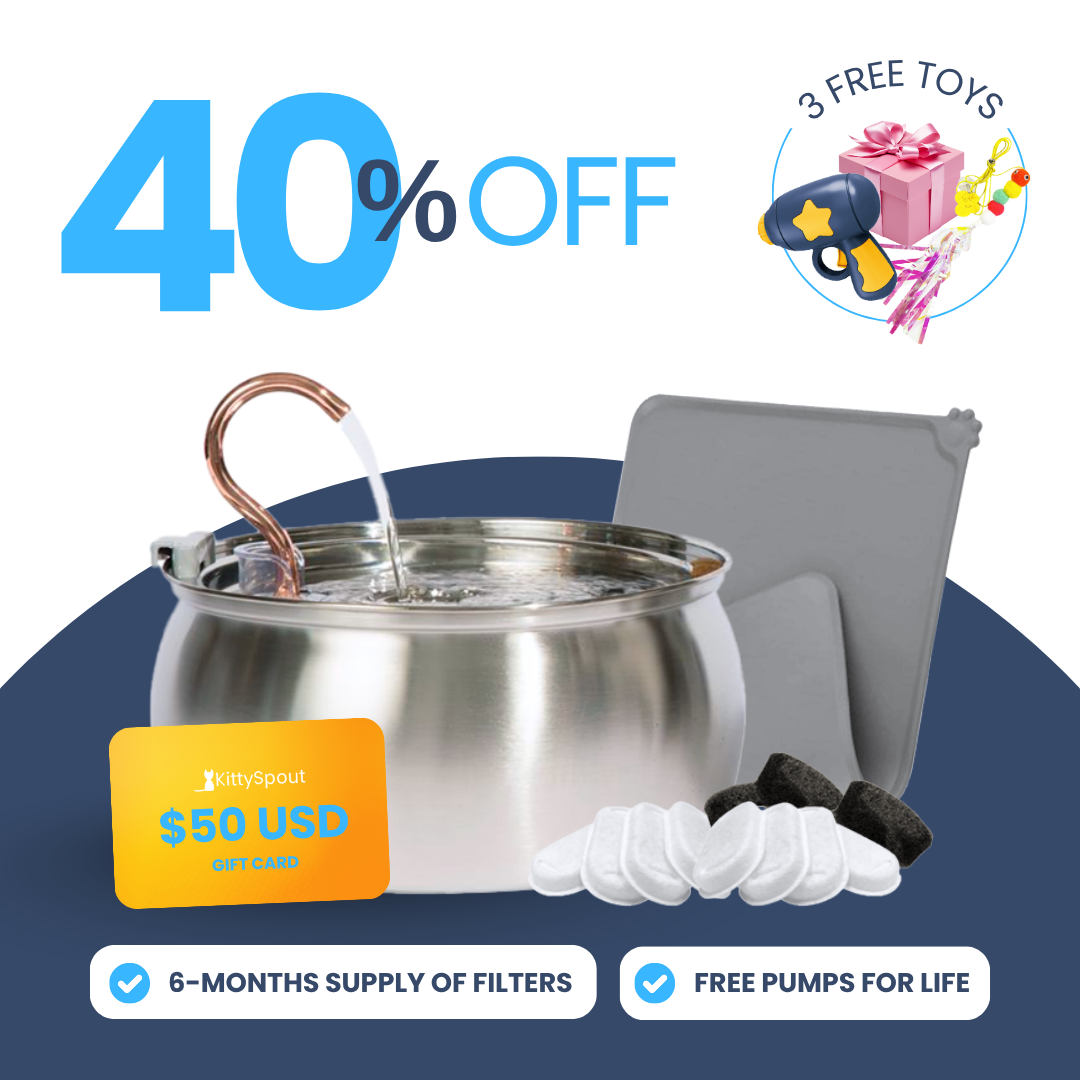 Back to School Sale - KittySpout Value Bundle 40% off