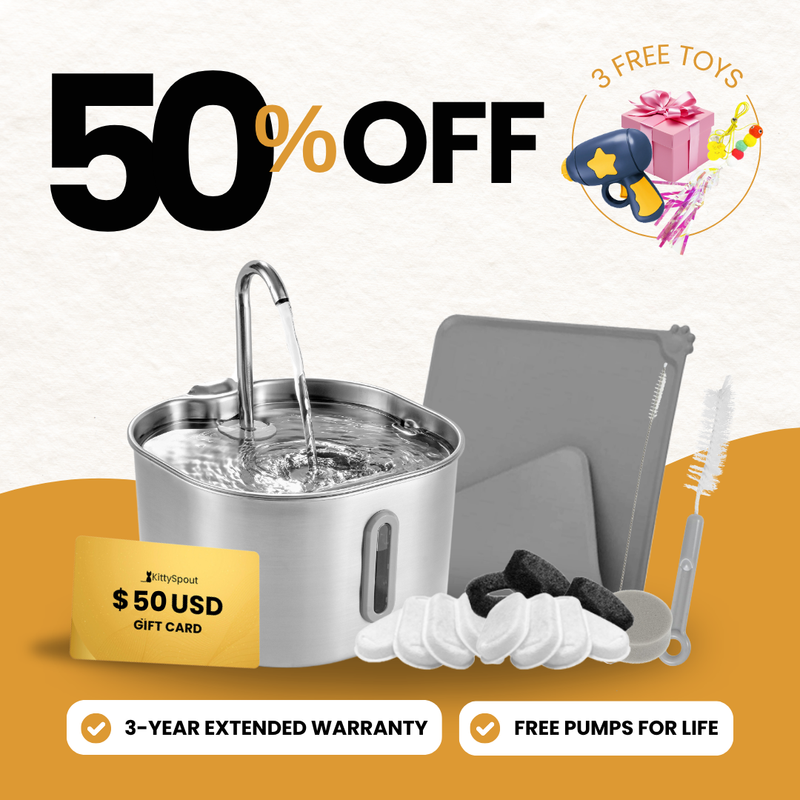 KittySpout bundle