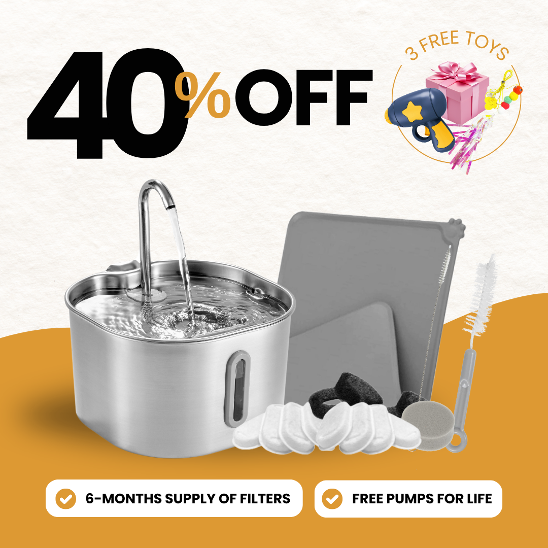KittySpout bundle