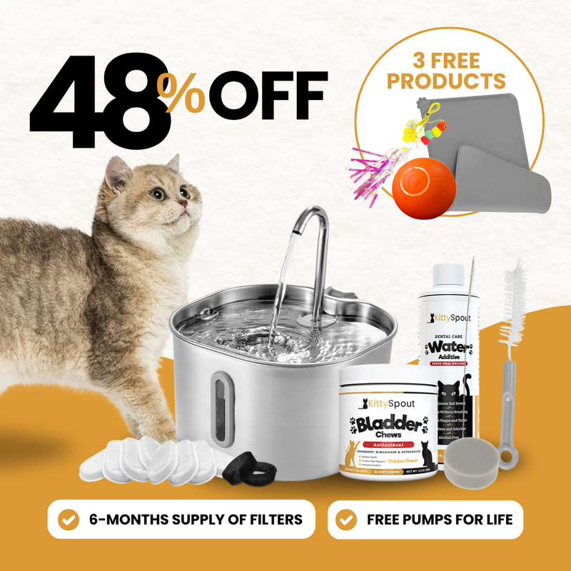 KittySpout bundle