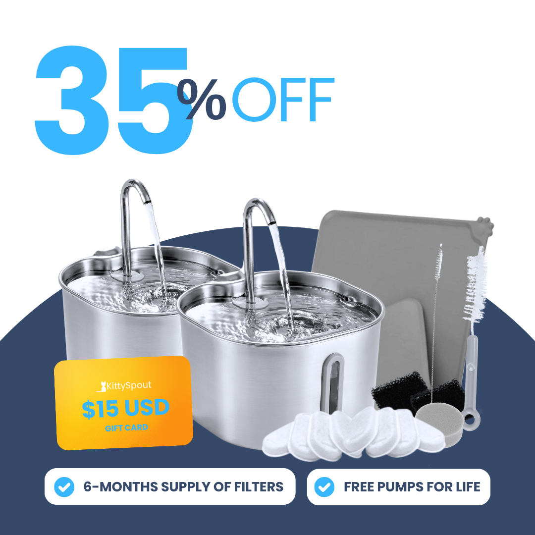 Back to School Sale - 2.2L Big Cat Family Bundle