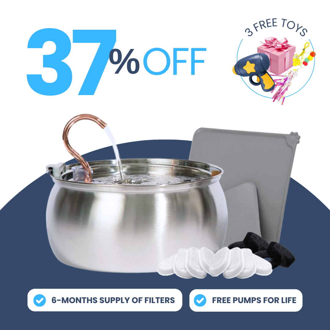 Back to School Sale - The Purrr-fect KittySpout Kit