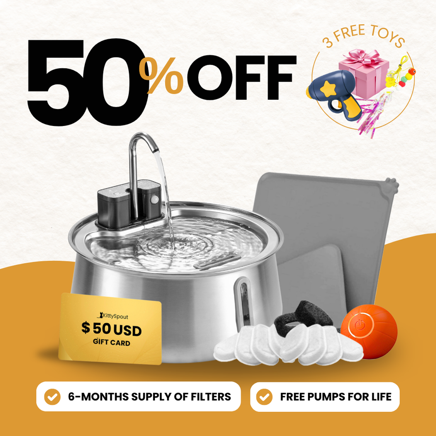 KittySpout bundle