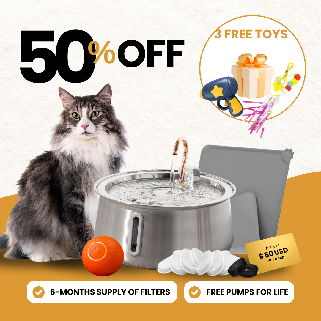 KittySpout bundle