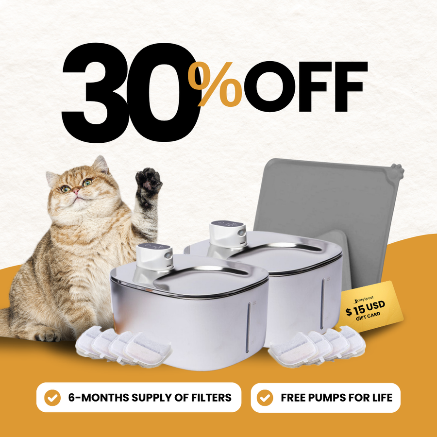 KittySpout bundle