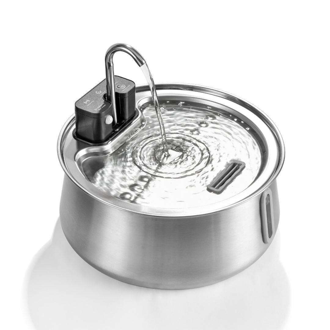 Refurbished The KittySpout - Wireless Fountain (Spout) - 4 Month: Wireless KittySpout + 8 filter sets + free gift