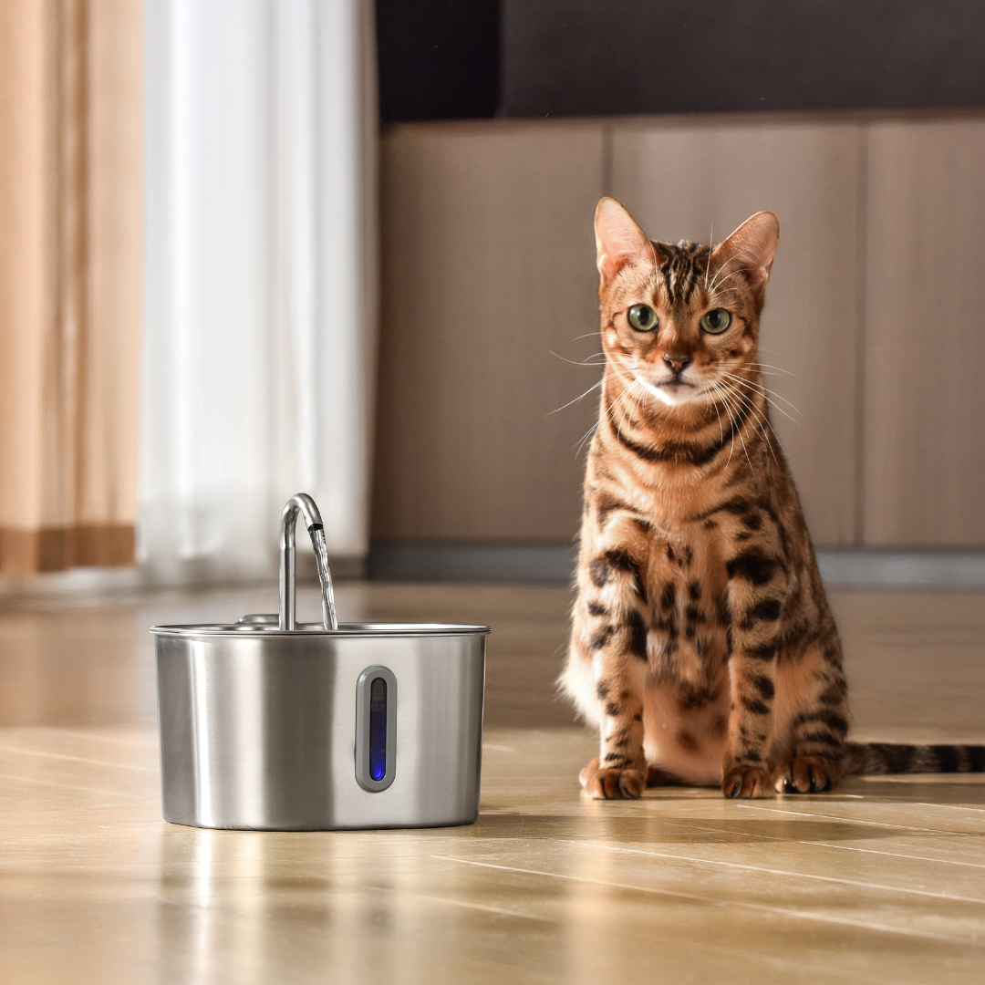 Like New The KittySpout - Health & Happiness Cat Kit (2.2L) - 2 Month: KittySpout + 4 filter sets + AC adapter