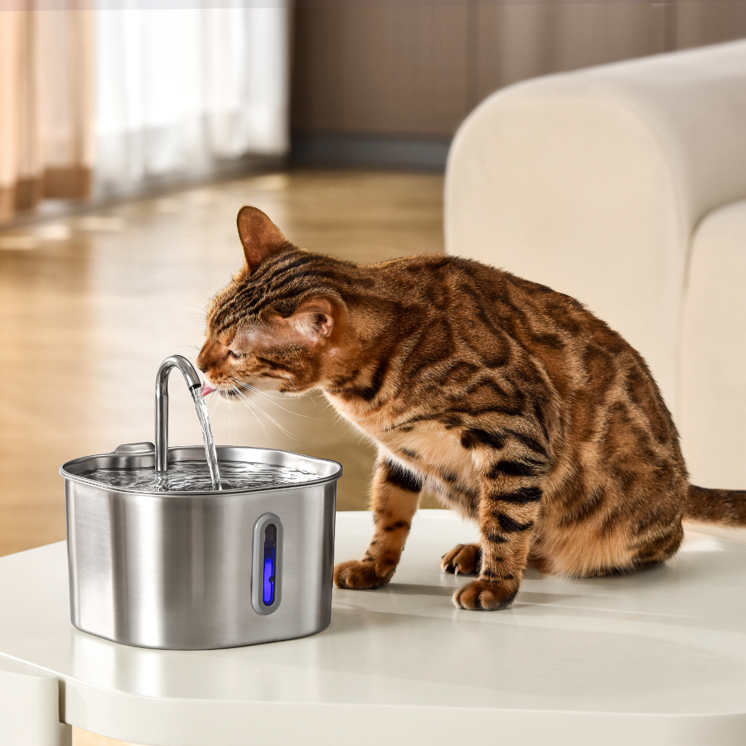 Like New The KittySpout - Health & Happiness Cat Kit (2.2L) - 2 Month: KittySpout + 4 filter sets + AC adapter