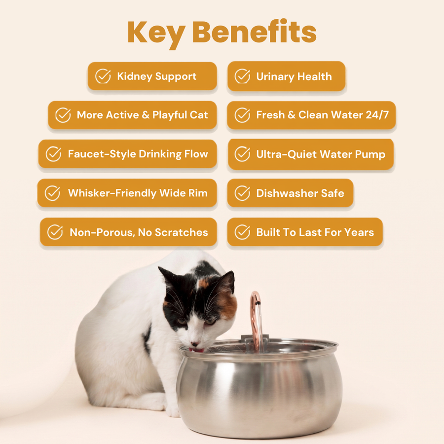KittySpout 4L Fountain key benefits