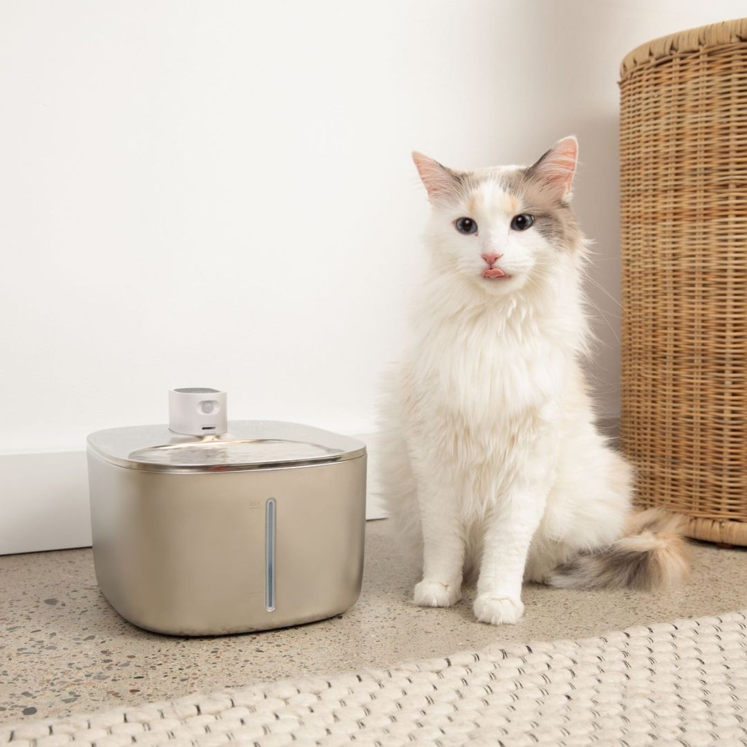 Like New The KittySpout - Wireless Fountain (Vet testimonials) - 2 Month: Wireless KittySpout + 4 filter sets + free gift