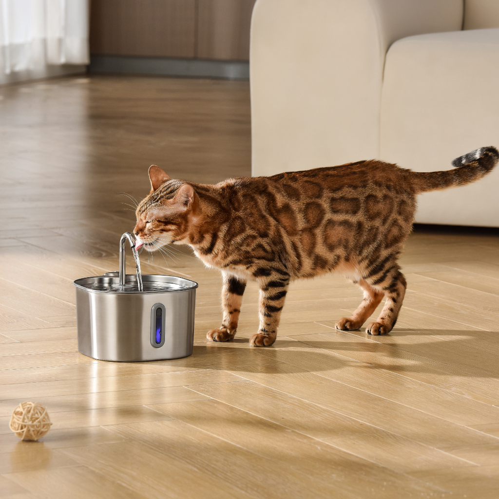 Like New The KittySpout - Health & Happiness Cat Kit (2.2L) - 4 Month: KittySpout + 8 filter sets + AC adapter + FREE gift