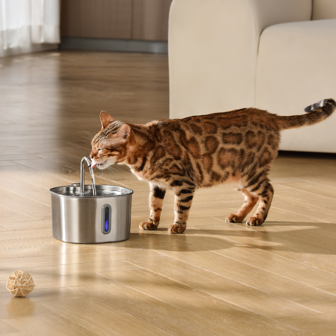 Like New The KittySpout - Health & Happiness Cat Kit (2.2L) - 2 Month: KittySpout + 4 filter sets + AC adapter