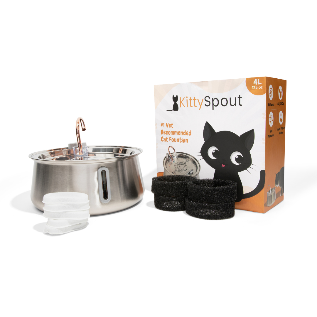 Pre-Owned The KittySpout 2.0 - Health & Happiness Cat Kit - 4 Month: KittySpout + 8 filter sets + AC adapter + FREE gift