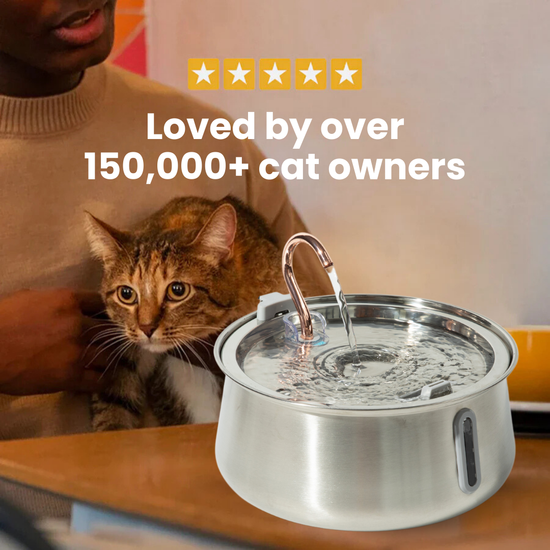 Pre-Owned The KittySpout 2.0 - Health & Happiness Cat Kit - 6 Month: KittySpout + 12 filter sets + extra pump + AC adapter + FREE gift