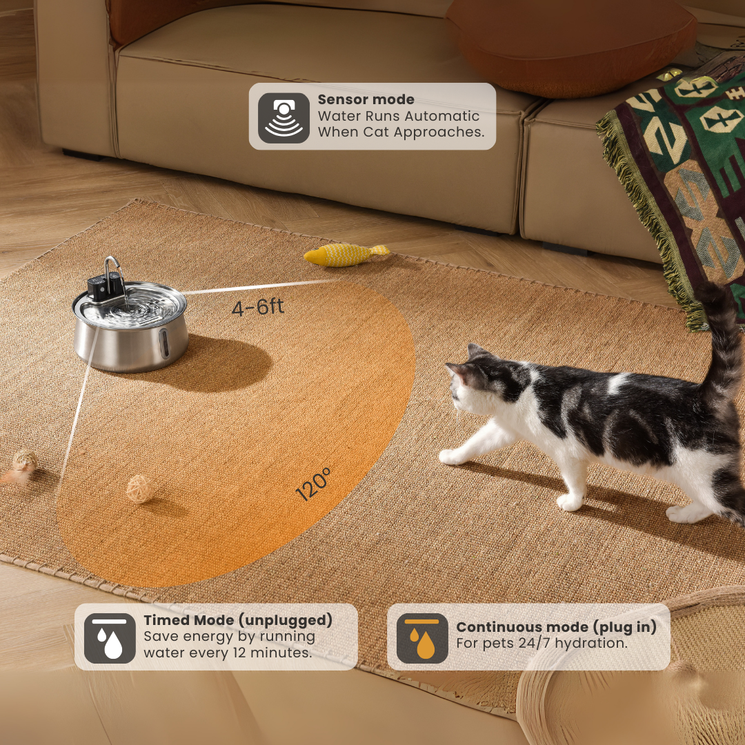 Kit de salud y felicidad para gatos The KittySpout™