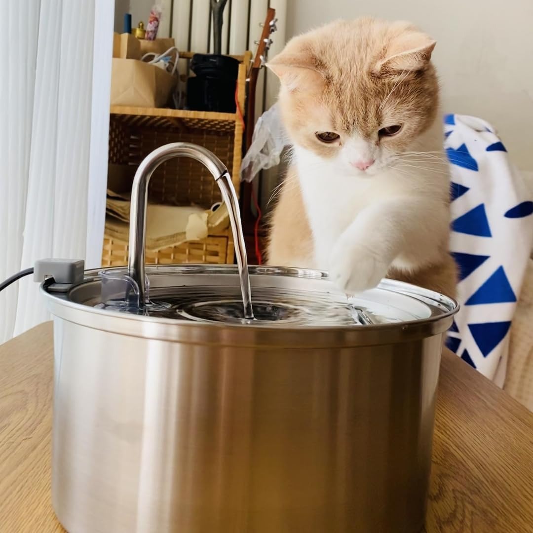 Like New KittySpout MFM001 Stainless Steel Cat Water Fountain, 3.2L