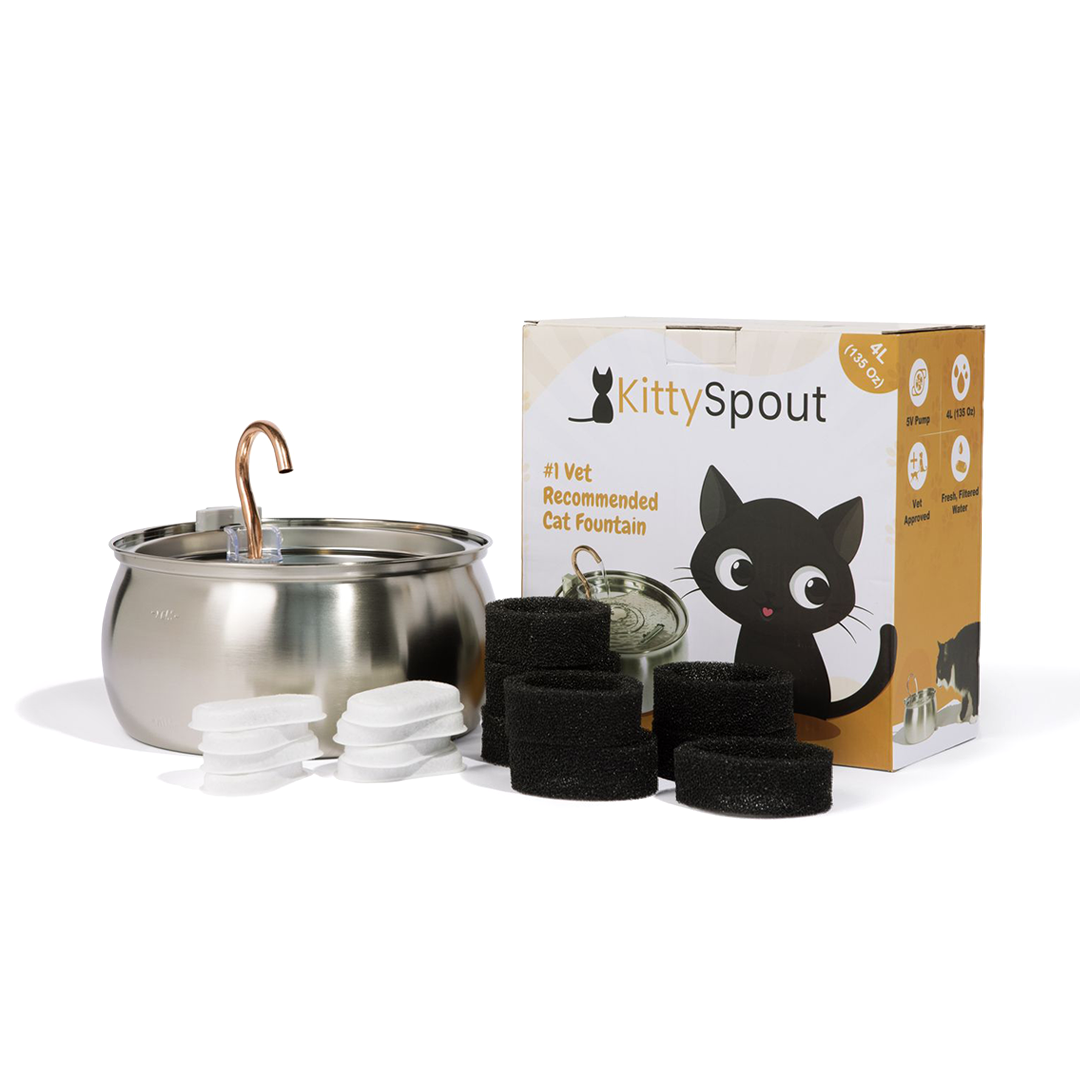 The KittySpout™ - Health & Happiness Cat Kit