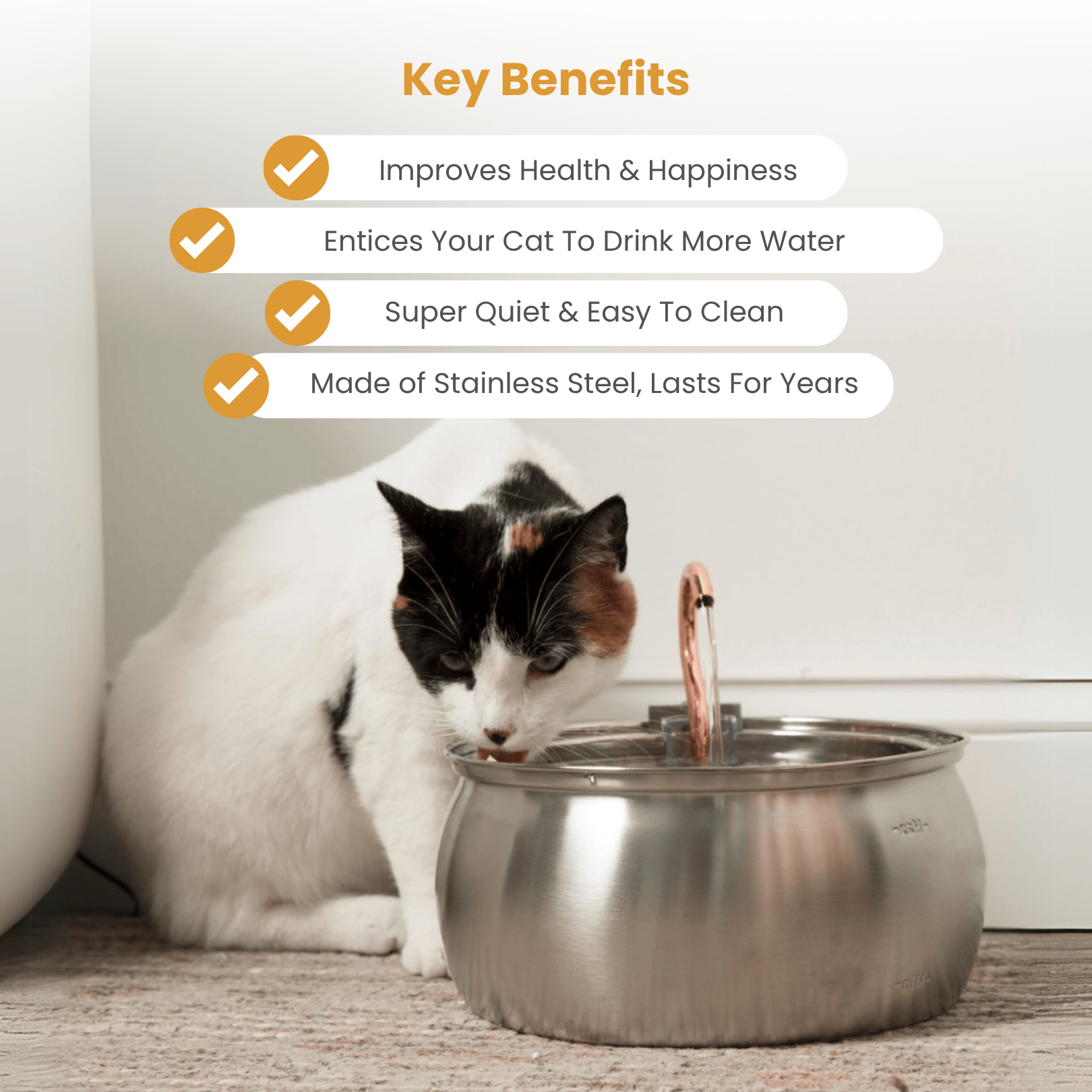 Kit de salud y felicidad para gatos The KittySpout™