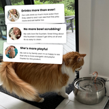 Il KittySpout™ thumbnail