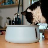 The KittySpout™ - Wireless Fountain 2.0 thumbnail