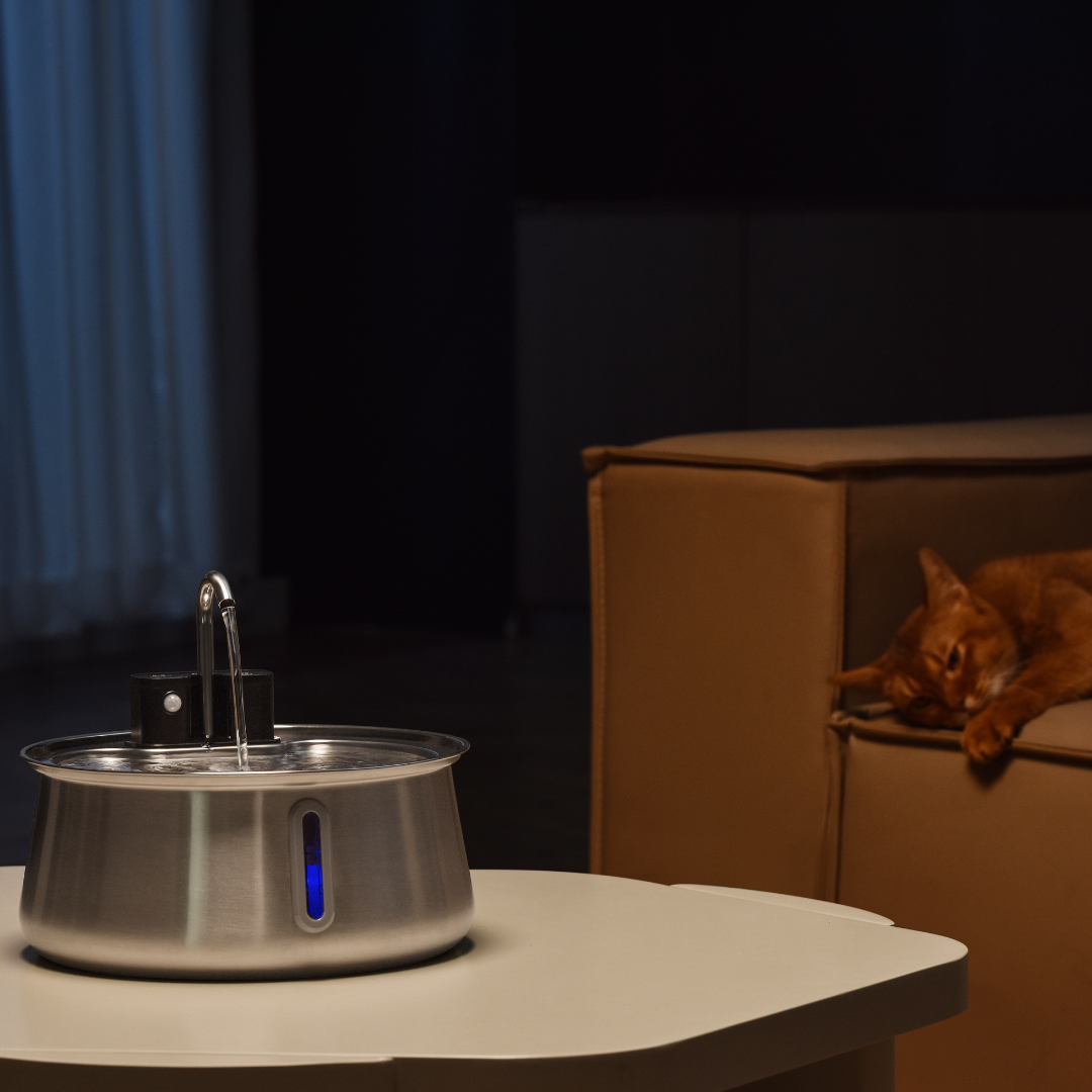 Refurbished The KittySpout - Wireless Fountain (Spout) - 6 Month: Wireless KittySpout + 8 filter sets + free gift