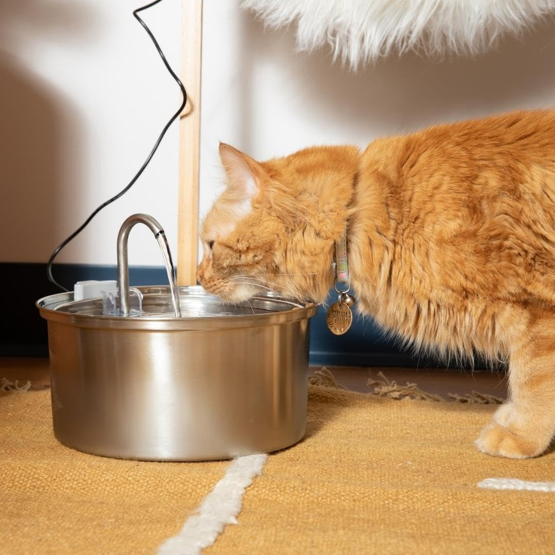 Like New KittySpout MFM001 Stainless Steel Cat Water Fountain, 3.2L
