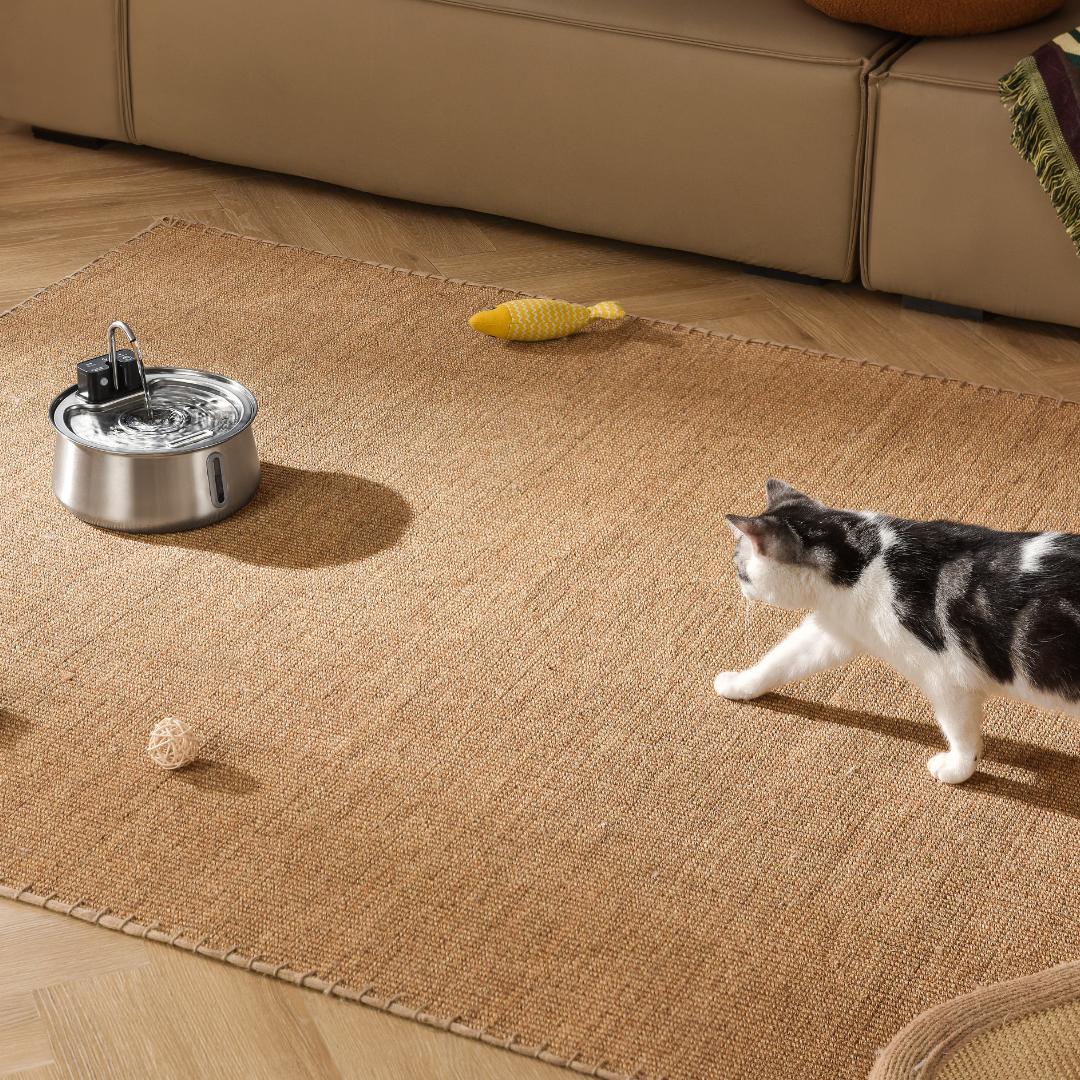 Refurbished The KittySpout - Wireless Fountain (Spout) - 4 Month: Wireless KittySpout + 8 filter sets + free gift