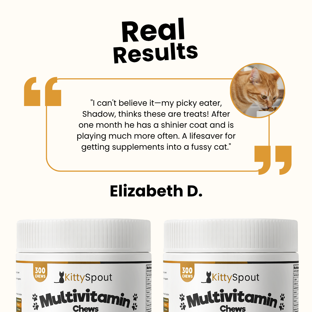 KittySpout Multivitamin Chews - 90 Day Supply