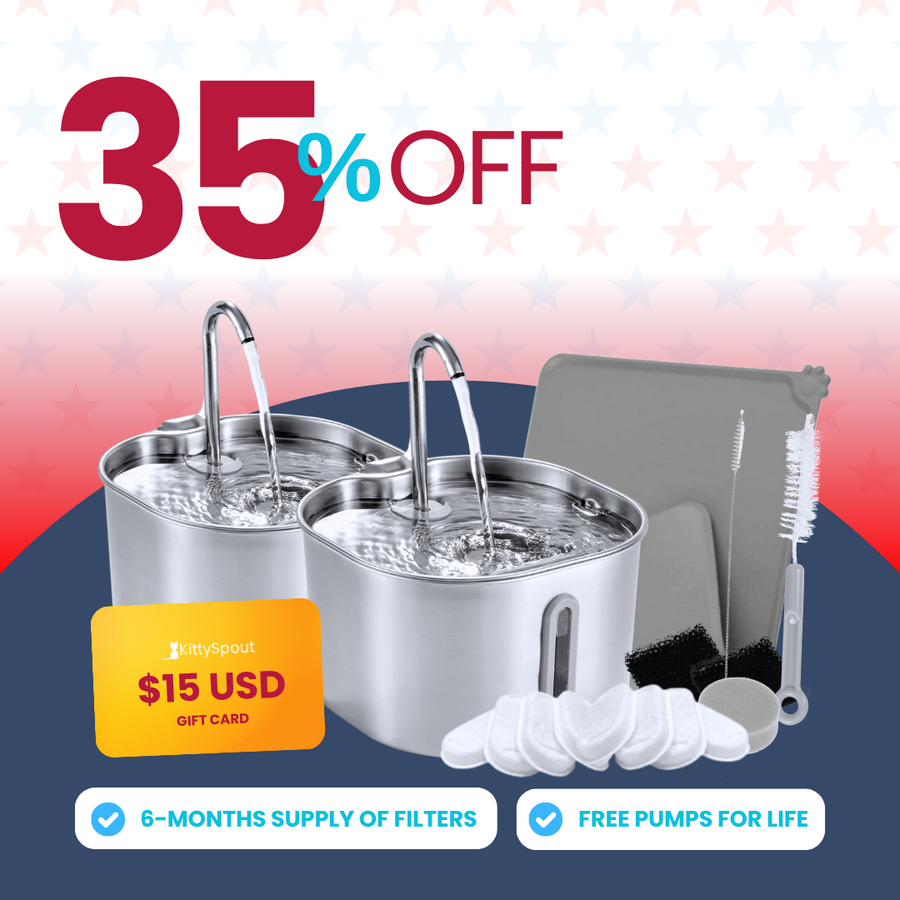 The KittySpout™ - 2.2L Big Cat Family Bundle