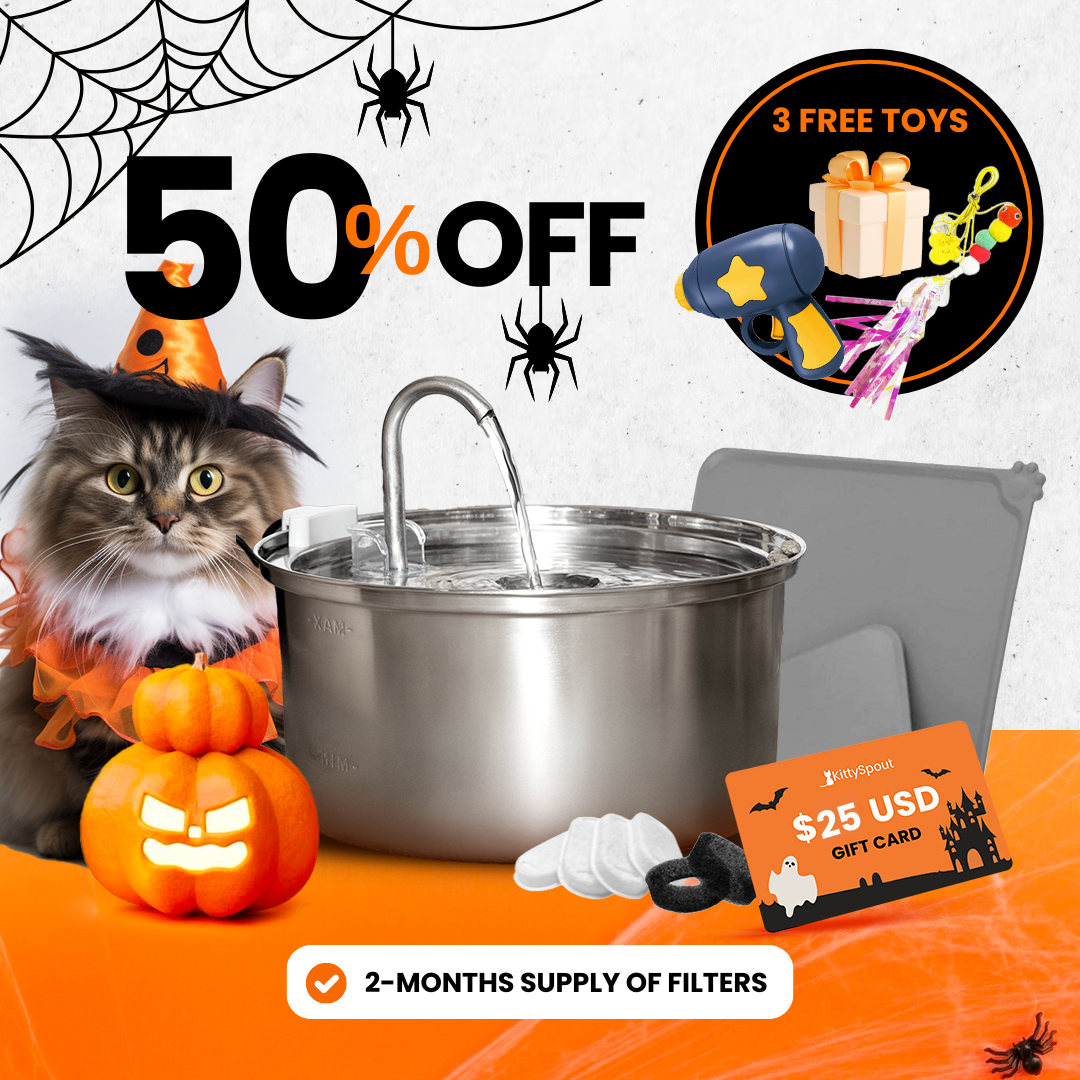 KittySpout Saver Bundle