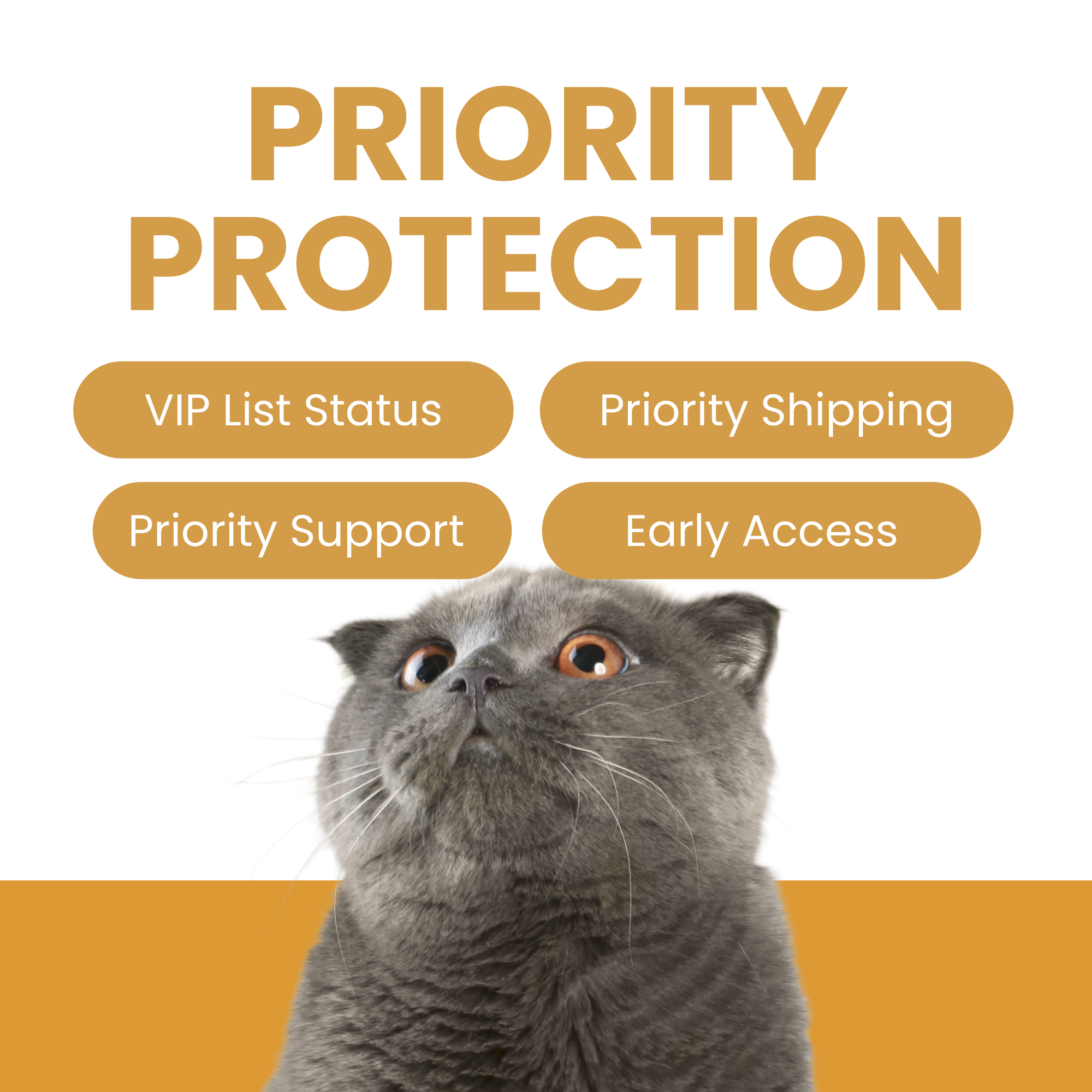 Priority Protection