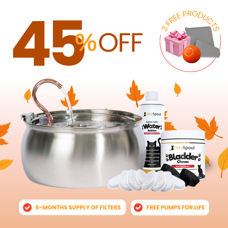 Hydration & Health Bundle