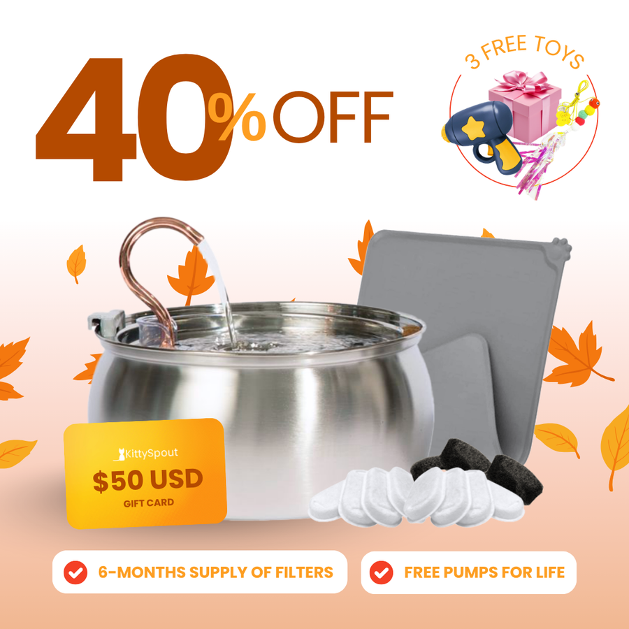 KittySpout Value Bundle
