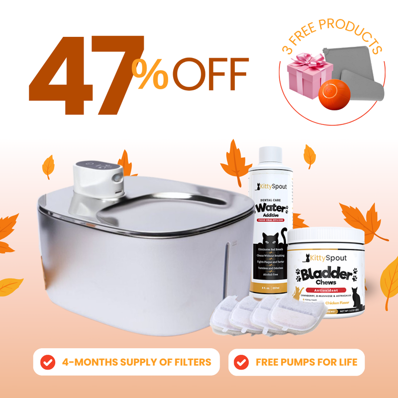 Wireless Hydration & Health Bundle