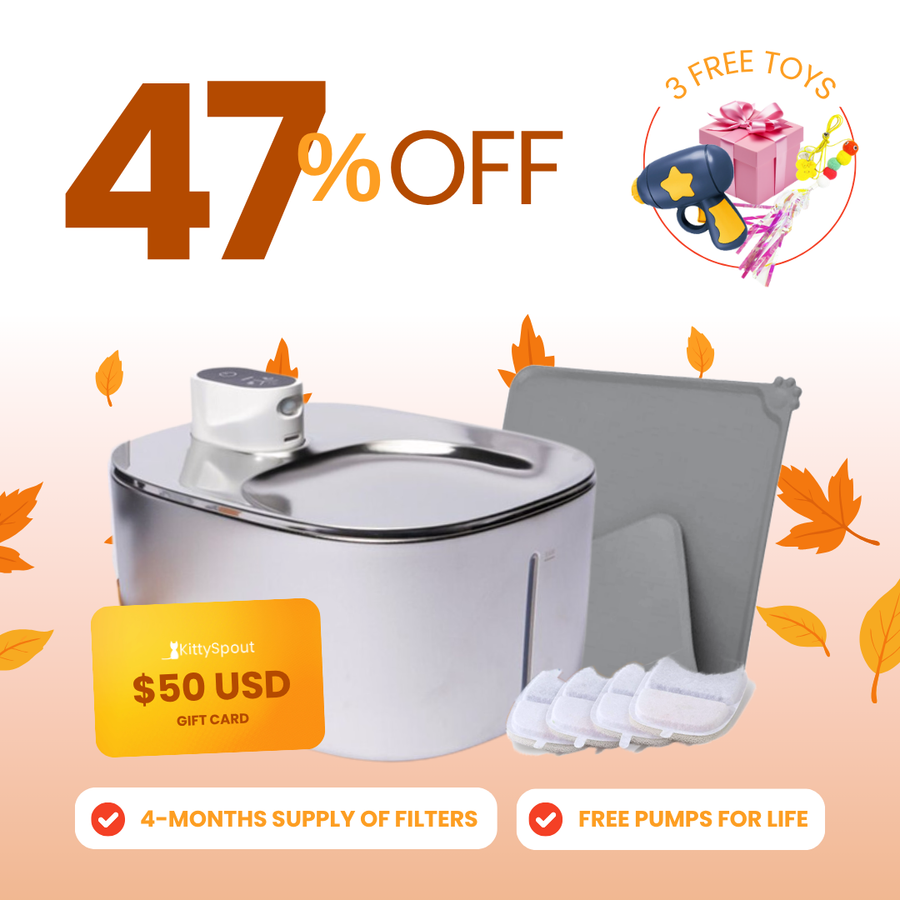 Wireless KittySpout Value Bundle