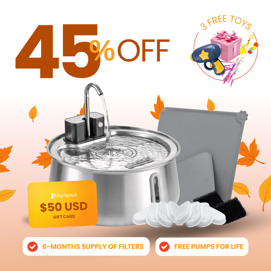 Wireless 2.0 KittySpout Value Bundle