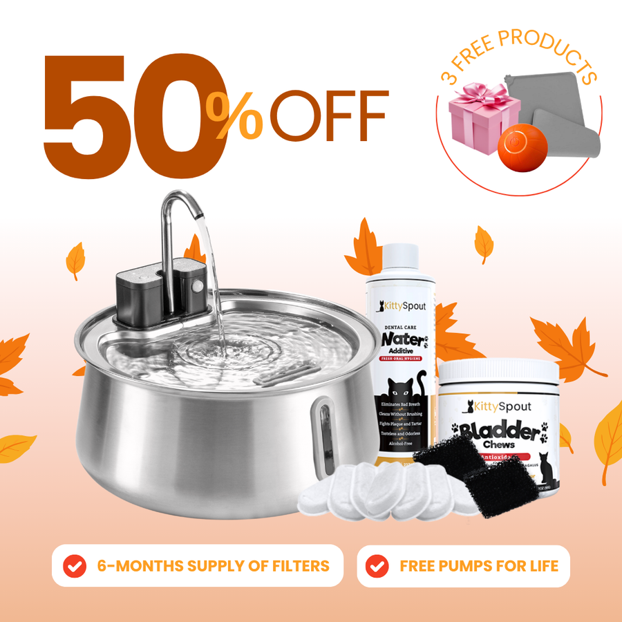 Wireless 2.0 Hydration & Health Bundle