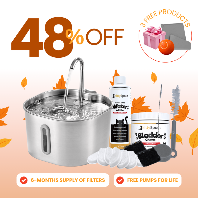 The KittySpout™ - 2.2L Hydration & Health Bundle