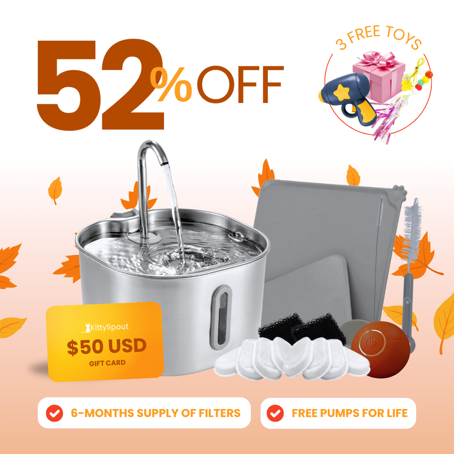 The KittySpout™ - 2.2L Hydration & Playtime Value Bundle
