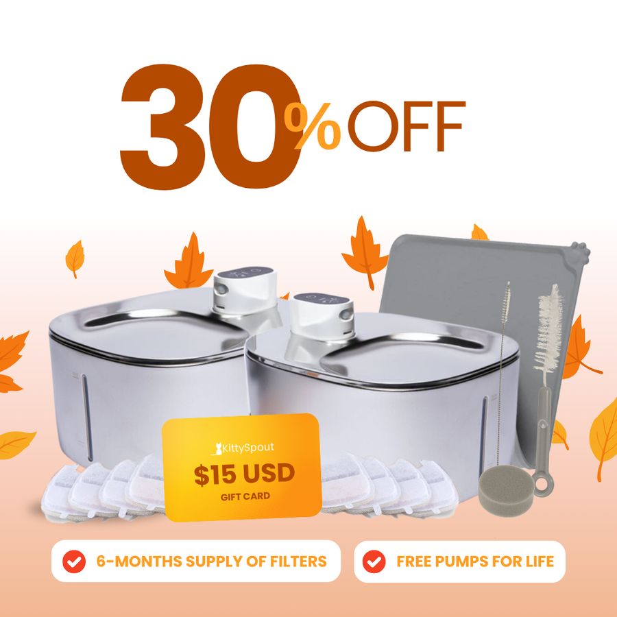 Wireless Big Cat Family Bundle