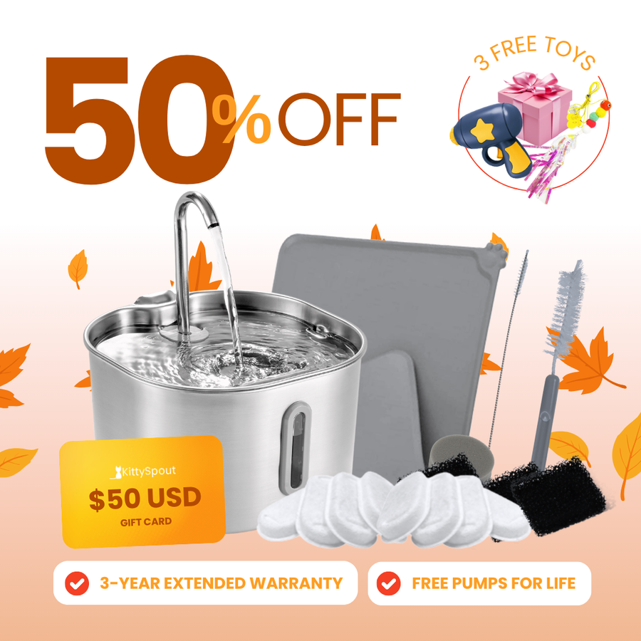 The KittySpout™ - 2.2L VIP Value Bundle