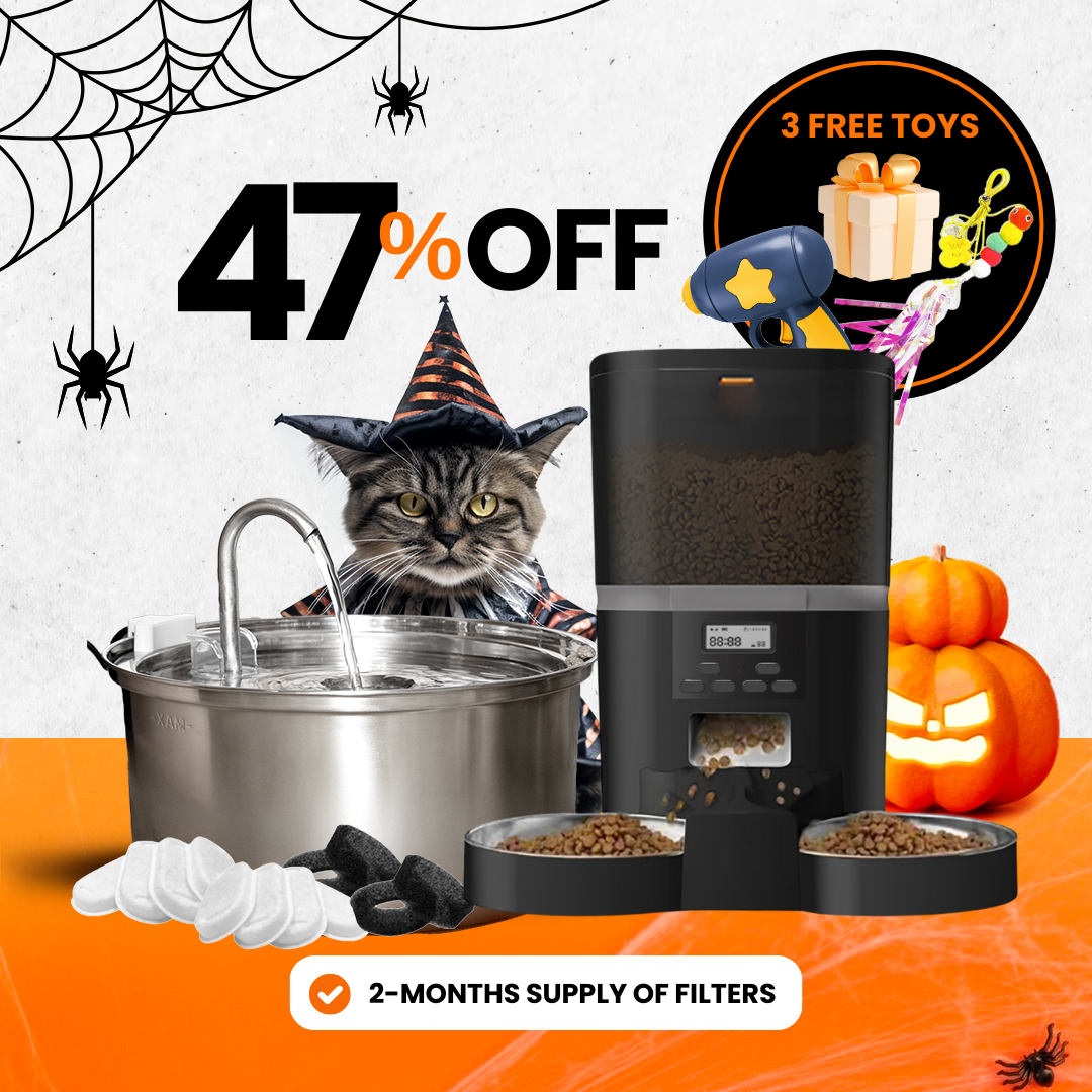 Elite Cat Care Bundle