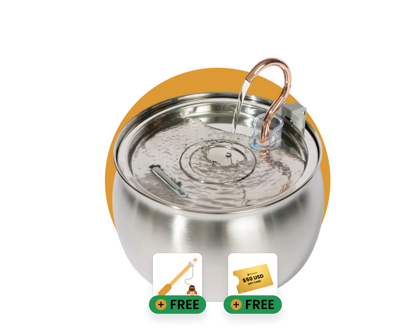 Ready to Improve Your Cat’s Hydration? Try KittySpout™ Risk-Free Today