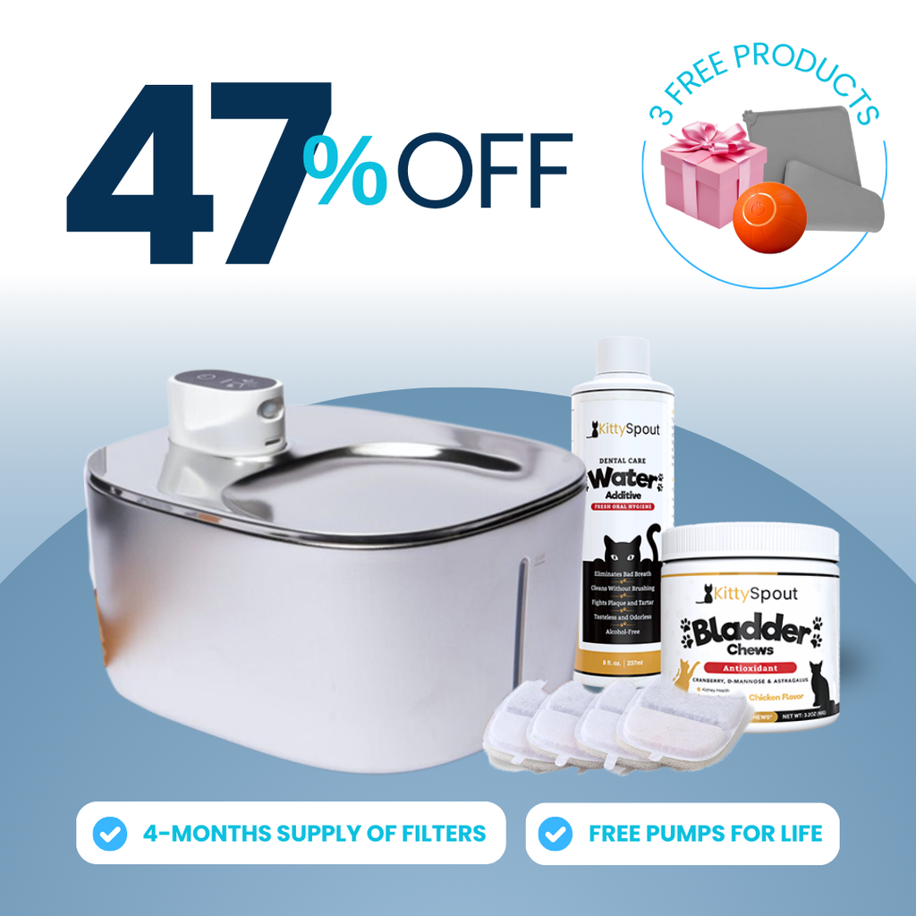 Wireless Hydration & Health Bundle