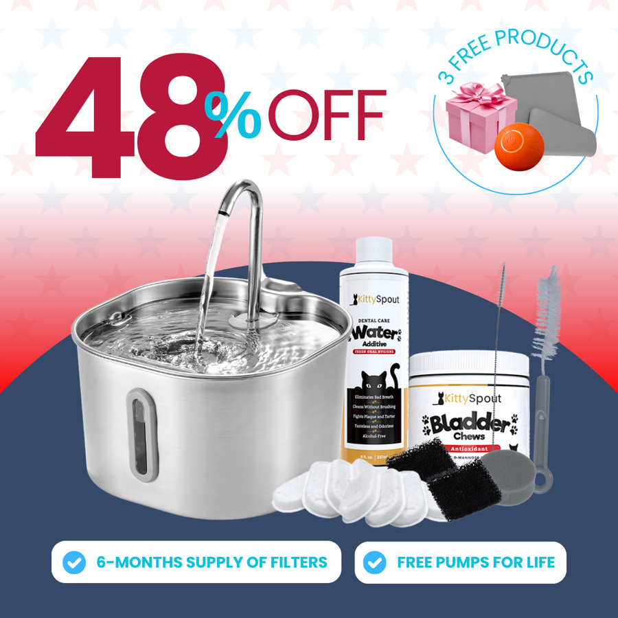 The KittySpout™ - 2.2L Hydration & Health Bundle