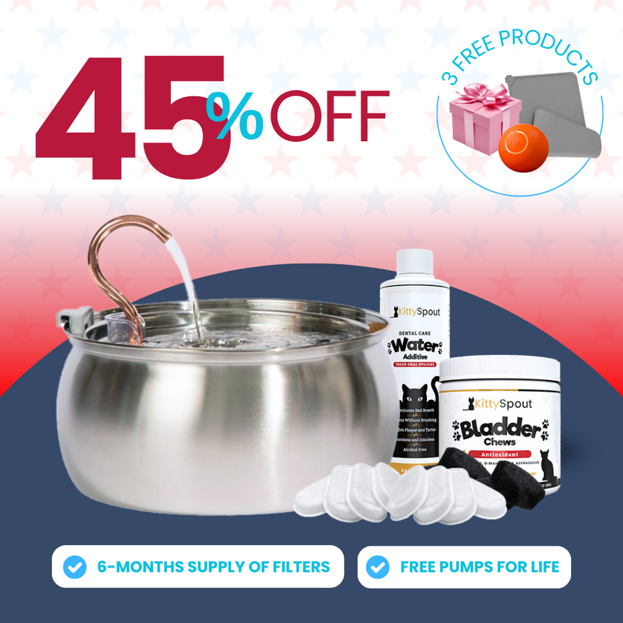 Hydration & Health Bundle