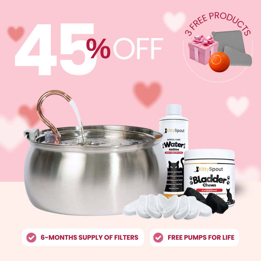 Hydration & Health Bundle