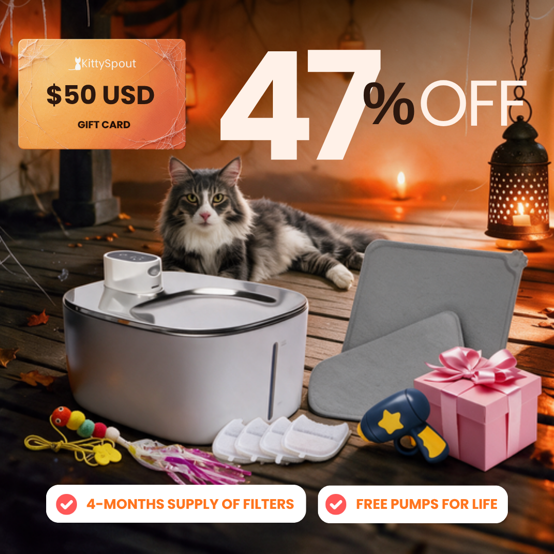 KittySpout Value Bundle